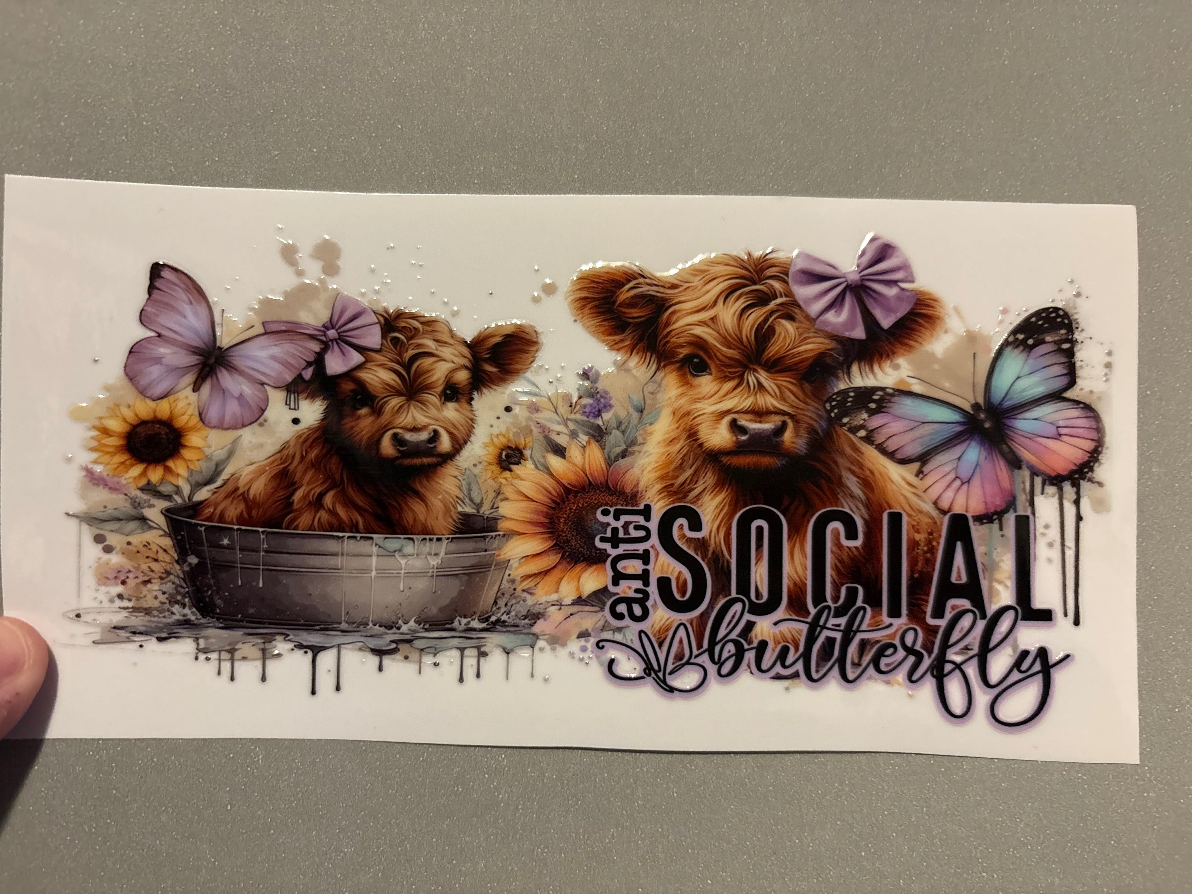 Anti Social Butterfly, highland cows, purple butterflies