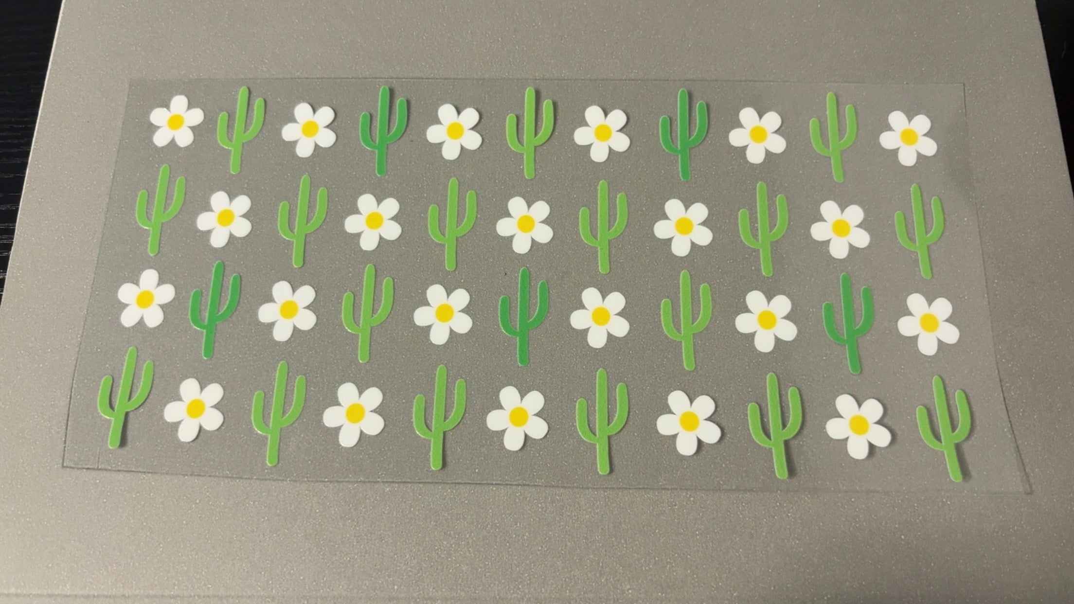 Daisy & Cactus