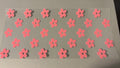 Pink Flowers