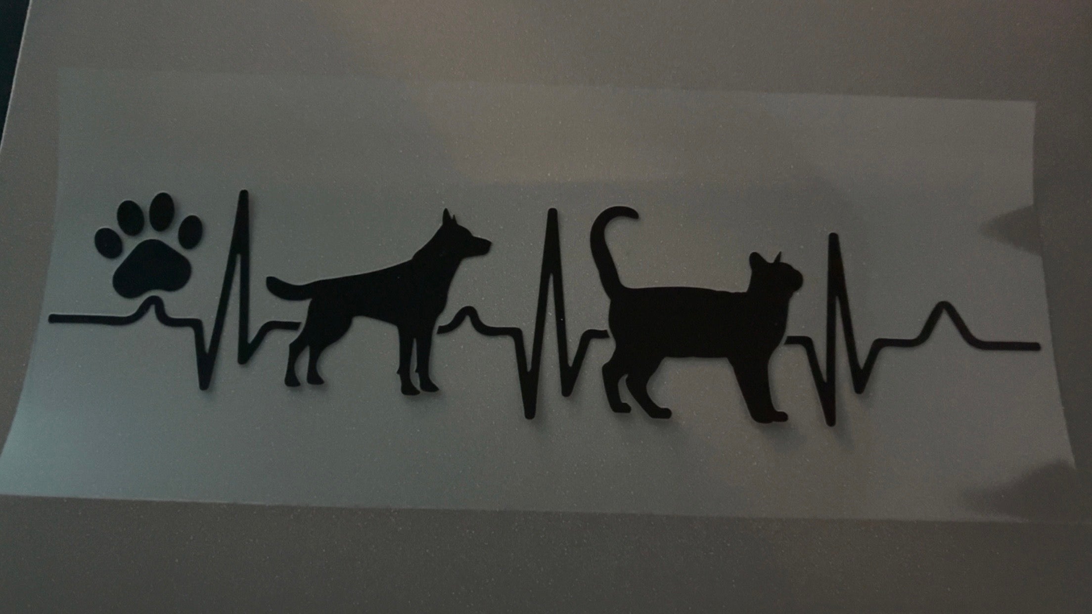 Heart rate, paw print, dog, cat