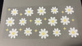 Daisy Sparkle