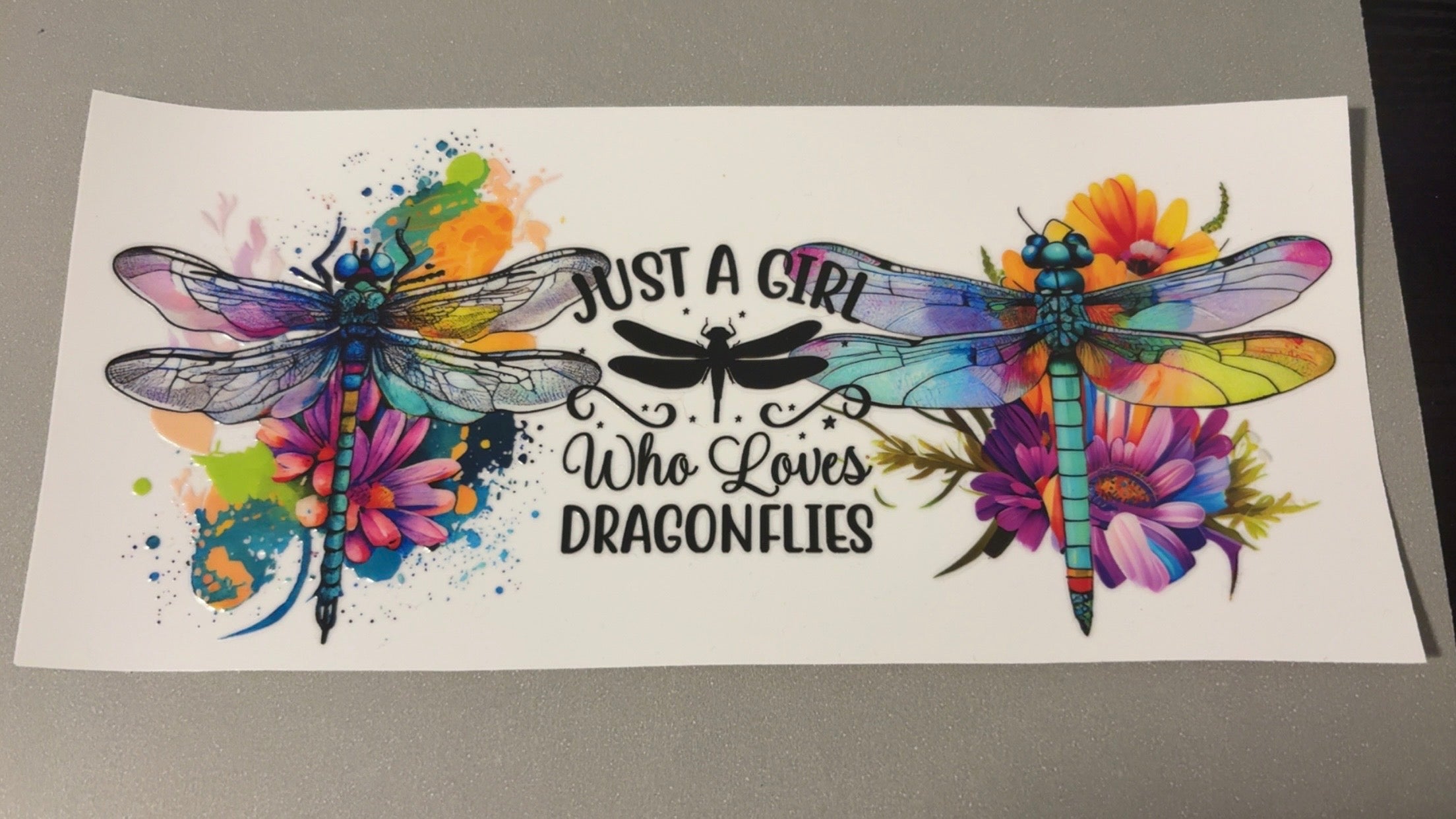 A girl who loves Dragonflies
