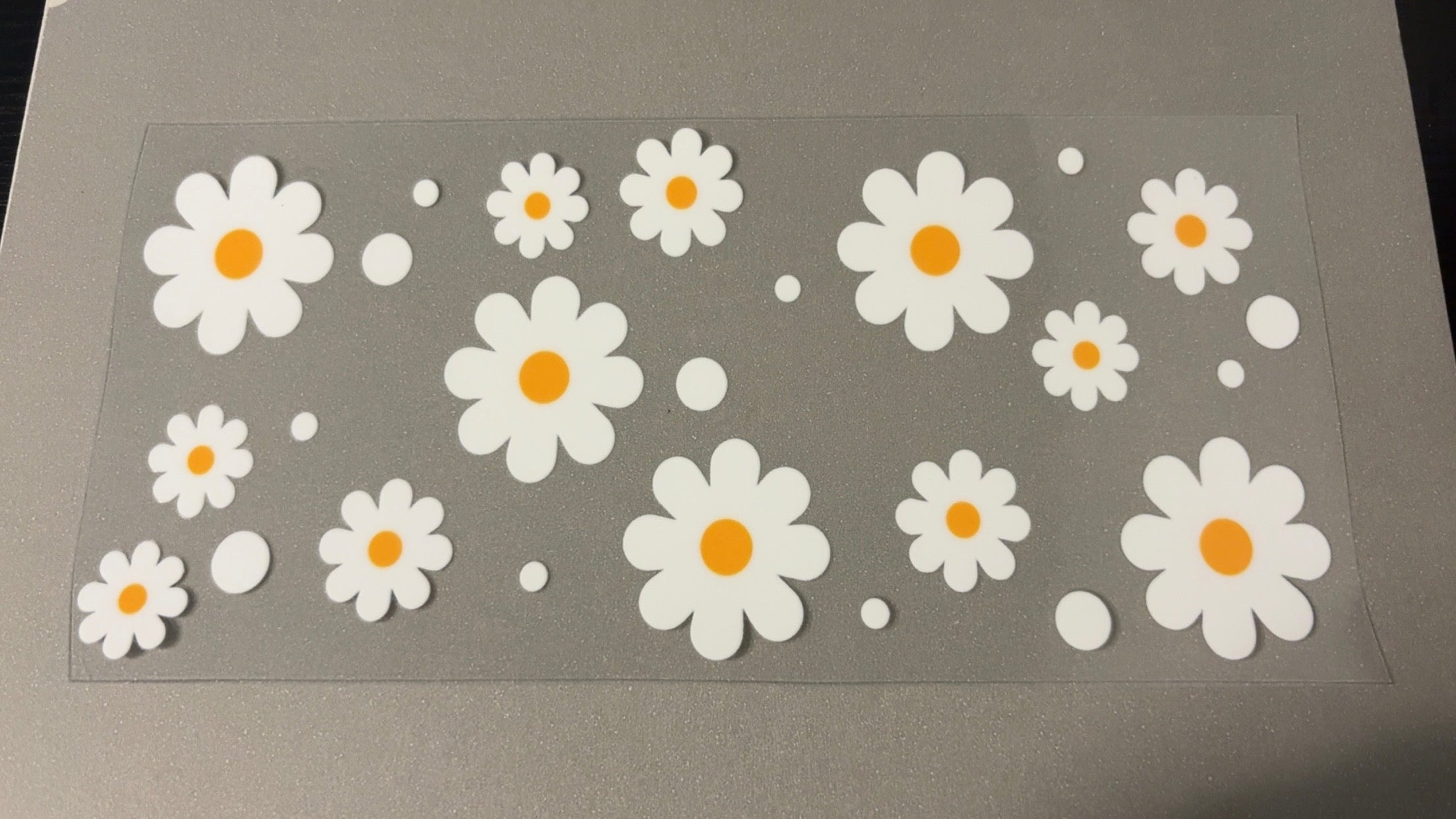 Daisy