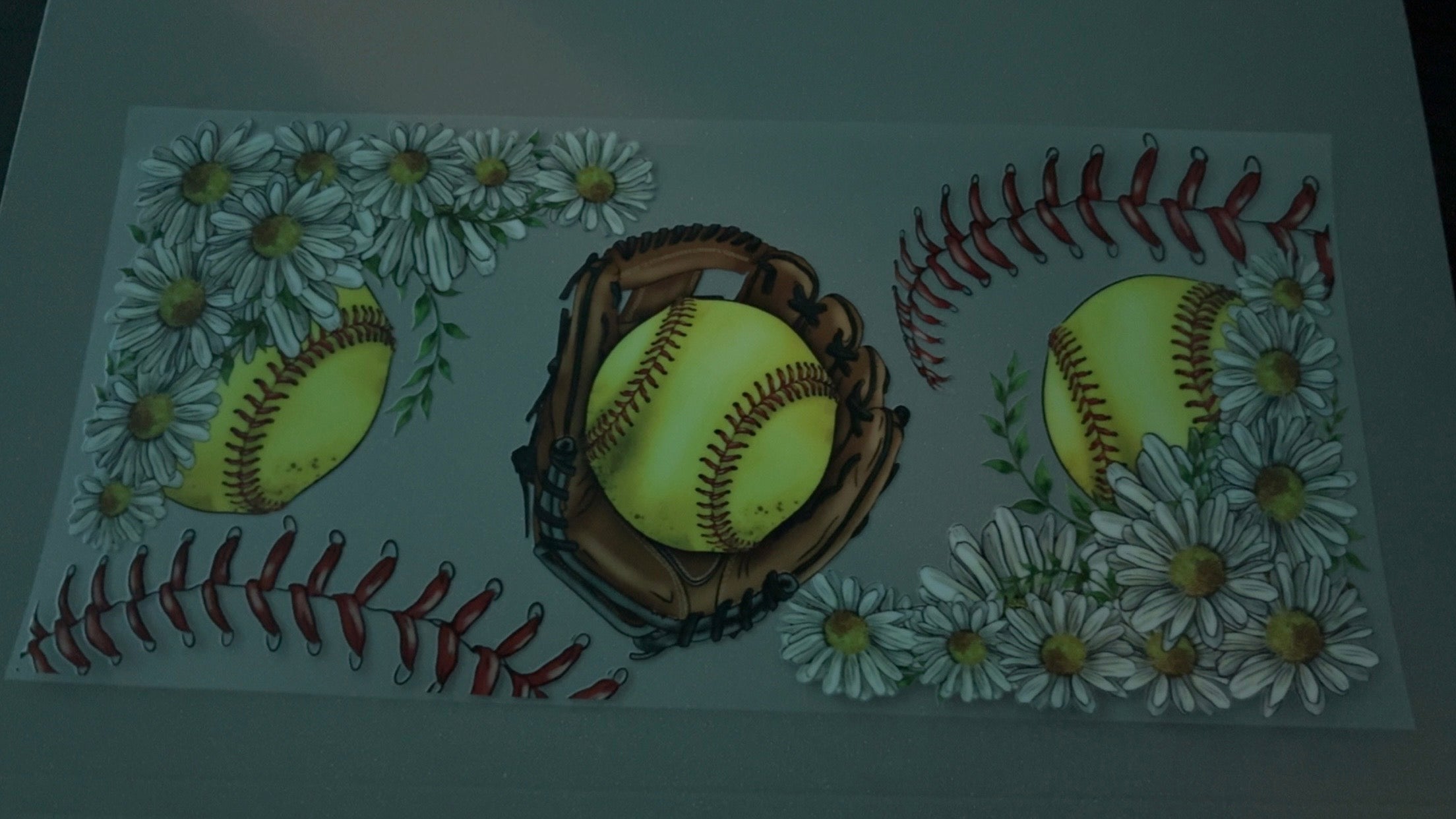 Softball in mitt with softballs & daisies