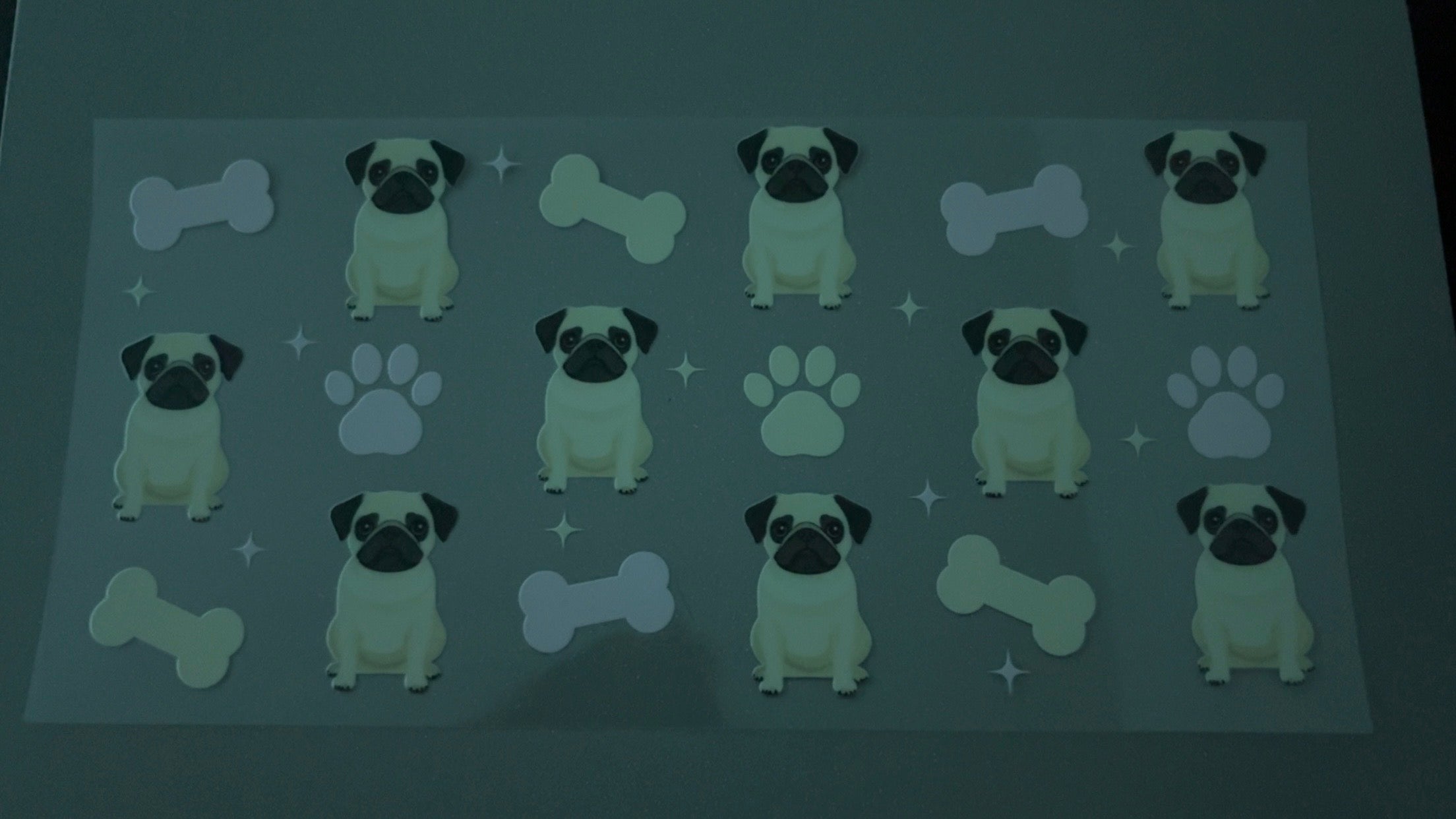Pugs, bones, paw prints