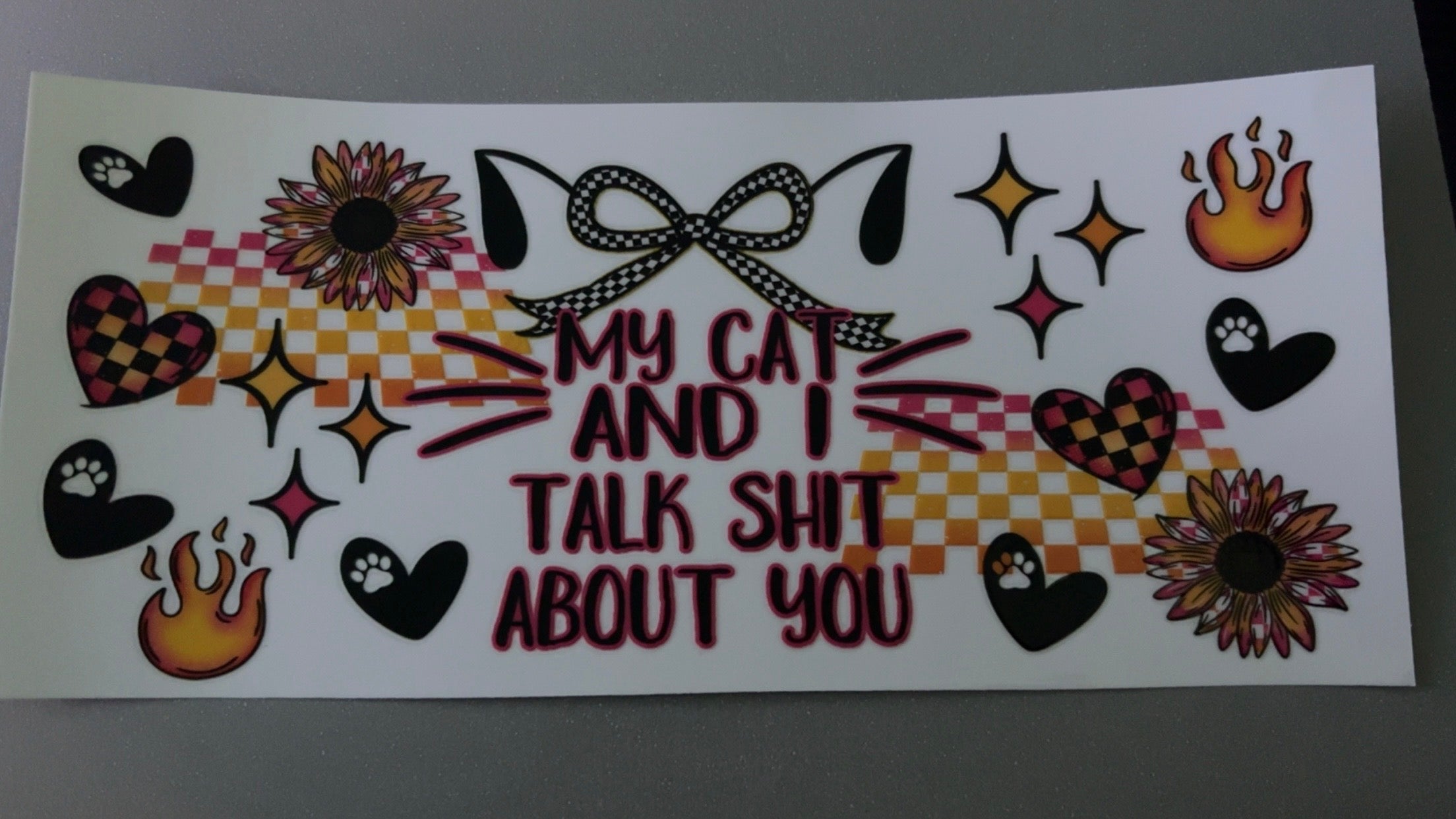 My cat & I talk sh*t about you